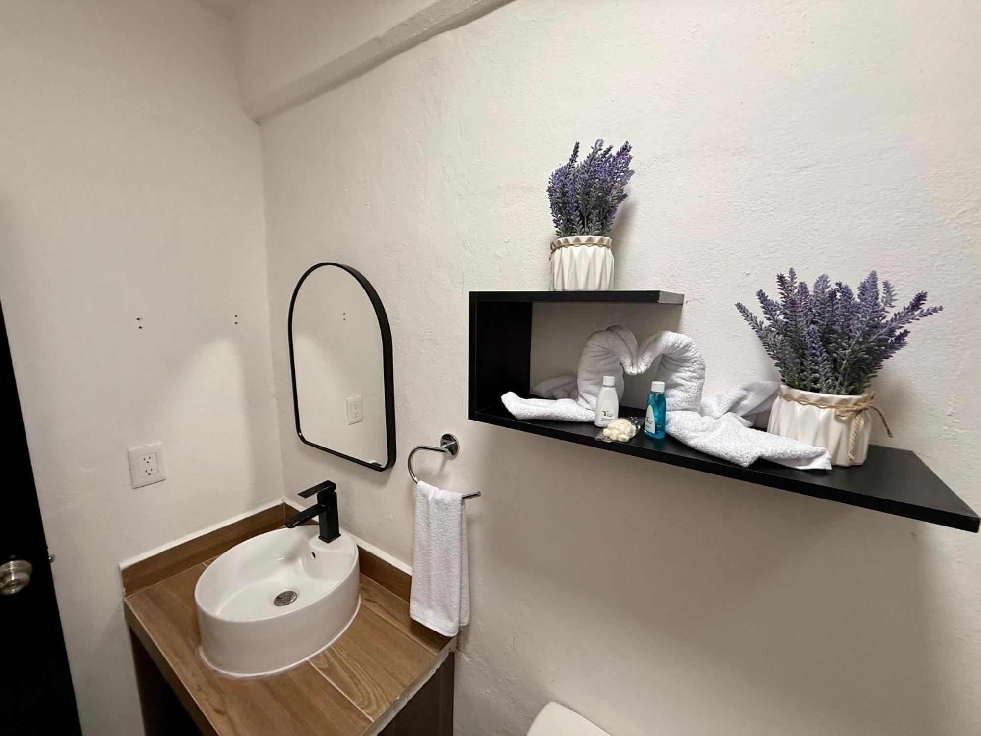 Casa Tortuga 5Th Ave Otel Playa del Carmen Dış mekan fotoğraf