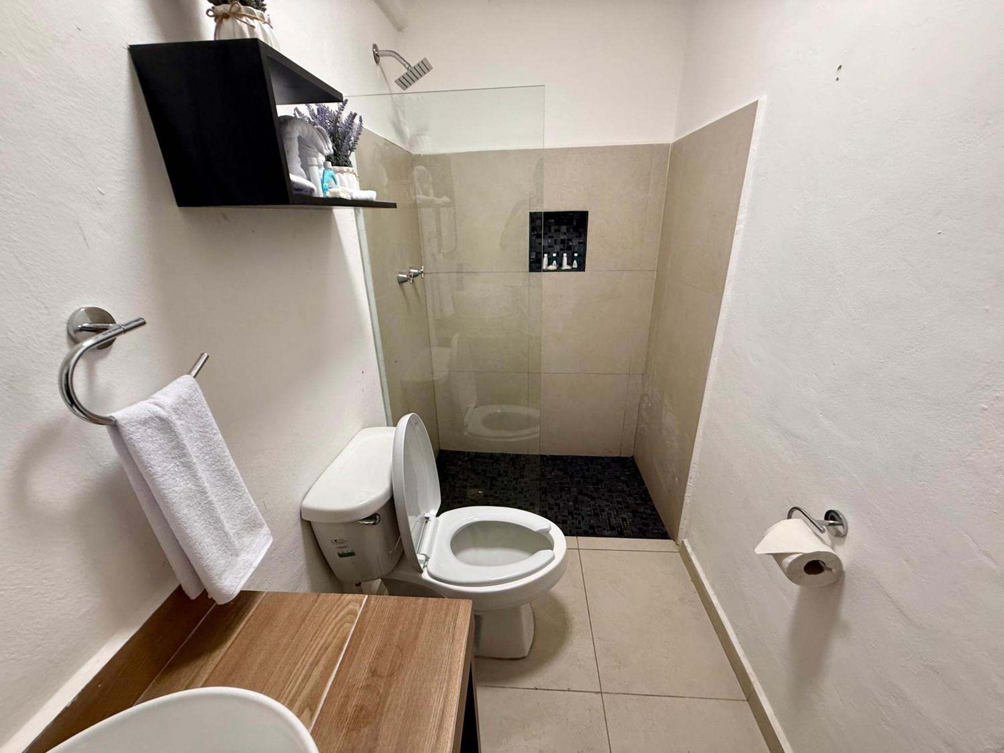 Casa Tortuga 5Th Ave Otel Playa del Carmen Dış mekan fotoğraf