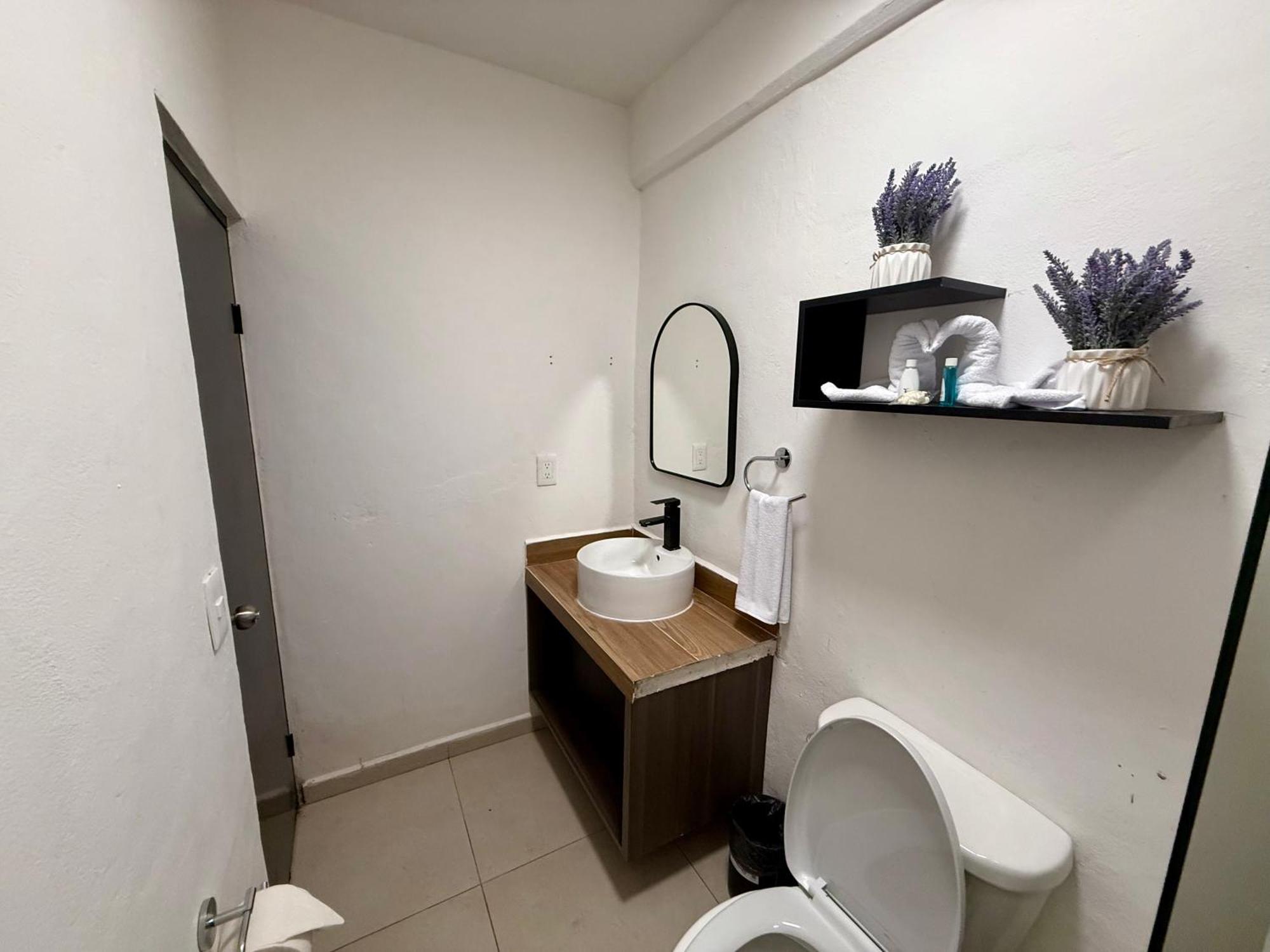 Casa Tortuga 5Th Ave Otel Playa del Carmen Dış mekan fotoğraf