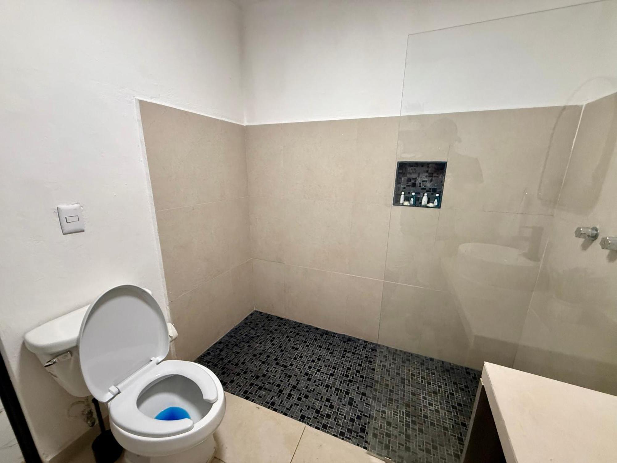 Casa Tortuga 5Th Ave Otel Playa del Carmen Dış mekan fotoğraf
