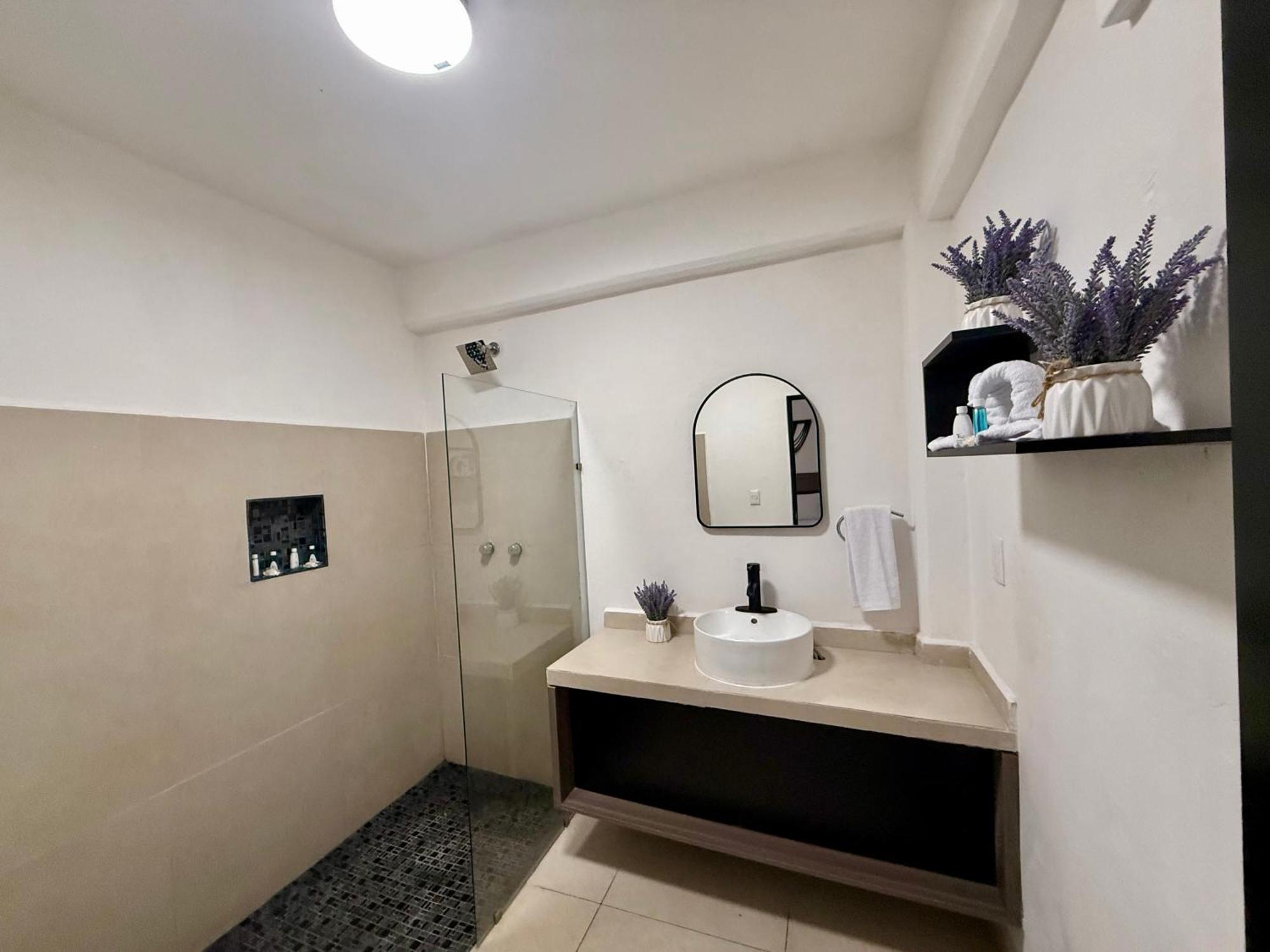 Casa Tortuga 5Th Ave Otel Playa del Carmen Dış mekan fotoğraf