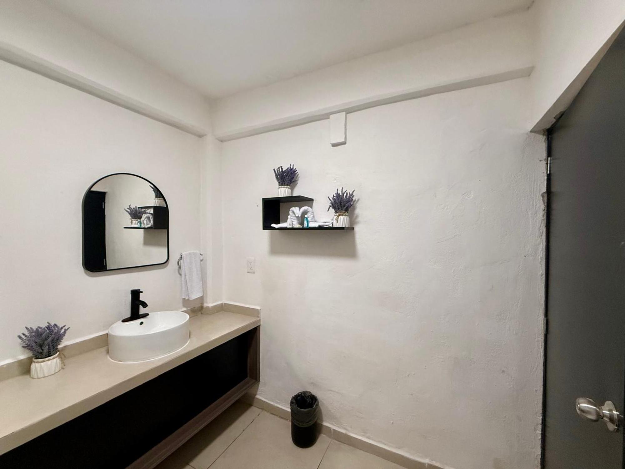 Casa Tortuga 5Th Ave Otel Playa del Carmen Dış mekan fotoğraf