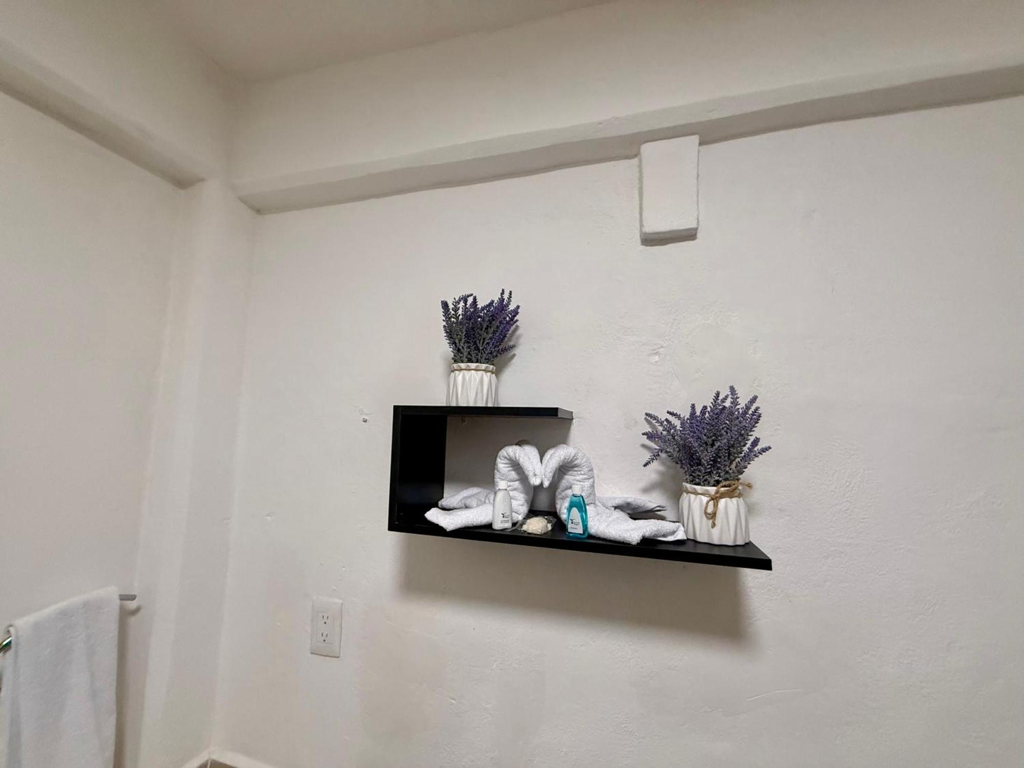 Casa Tortuga 5Th Ave Otel Playa del Carmen Dış mekan fotoğraf