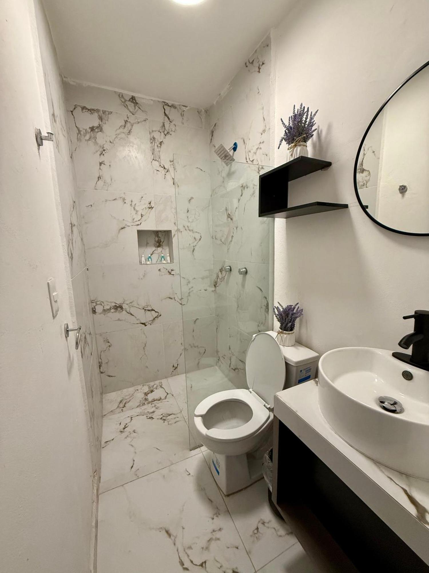 Casa Tortuga 5Th Ave Otel Playa del Carmen Dış mekan fotoğraf