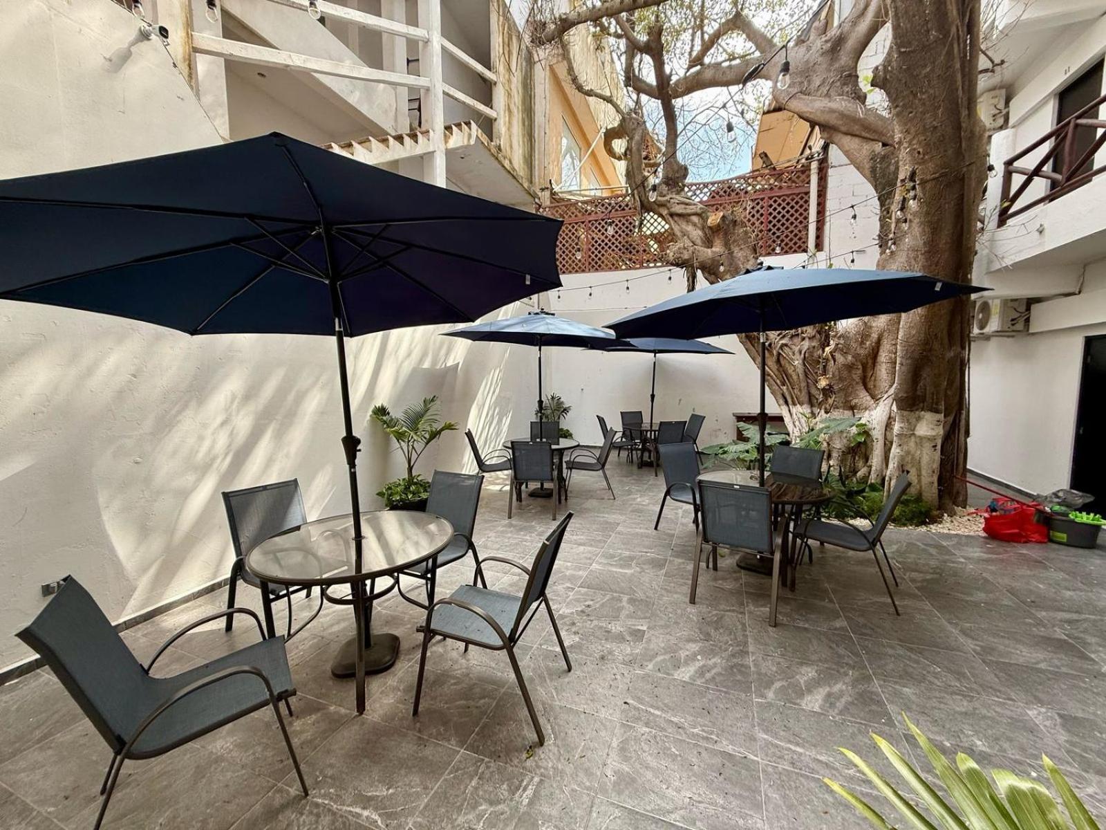 Casa Tortuga 5Th Ave Otel Playa del Carmen Dış mekan fotoğraf